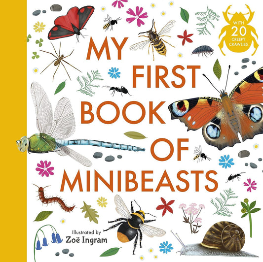 My First Book Of Mini Beasts