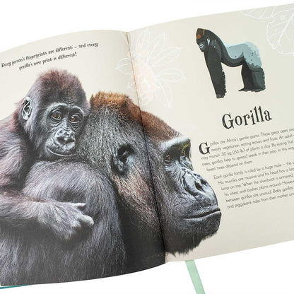 Anthology of Intriguing Animals