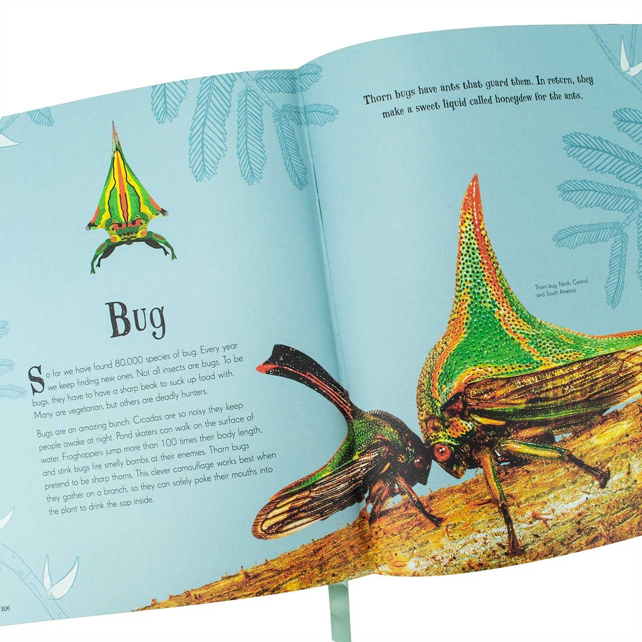 Anthology of Intriguing Animals