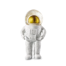 Donkey Snowglobe Astronaut