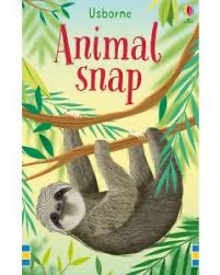 Animal Snap Cards