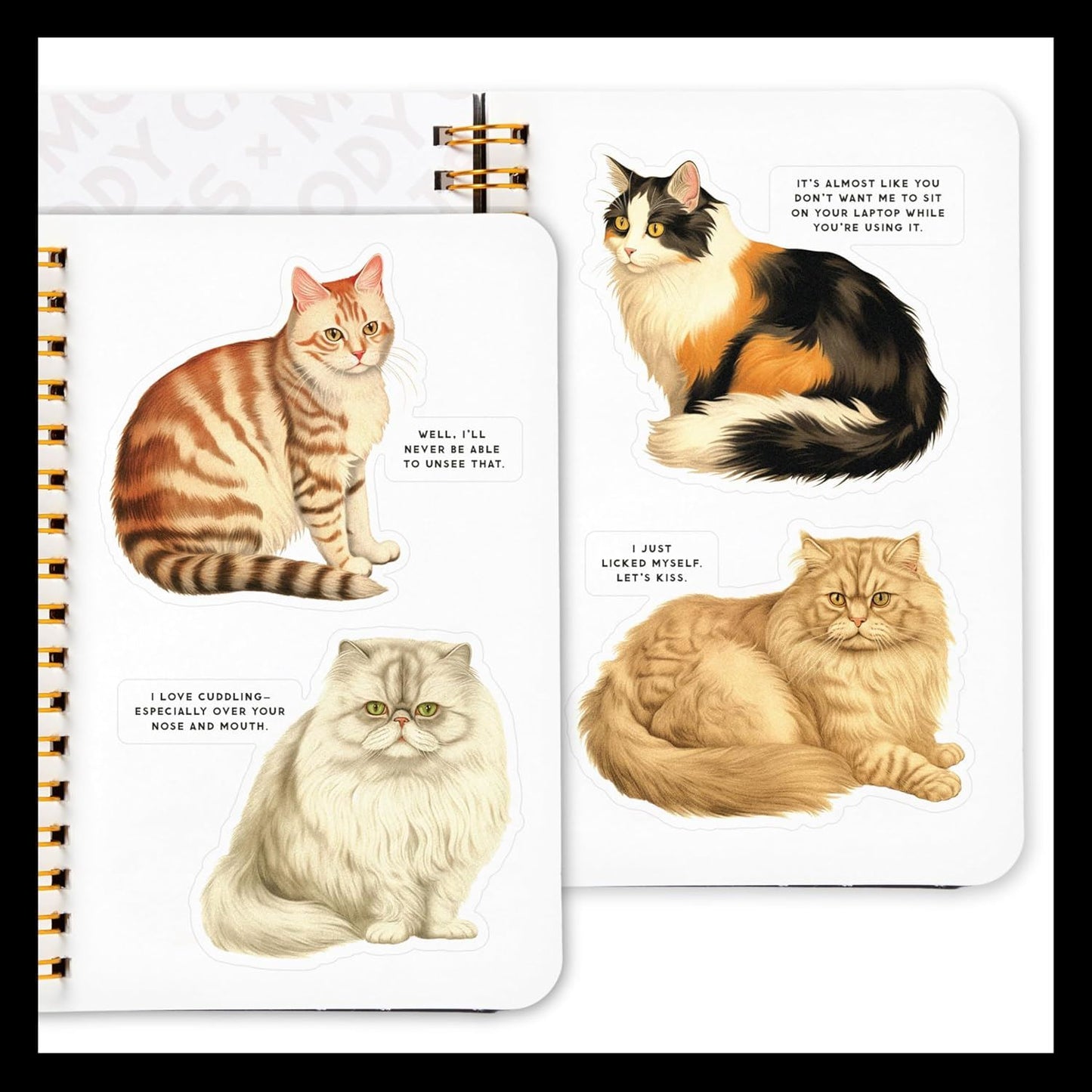 Moody Cats ( Brass Monkey Sticker Book )