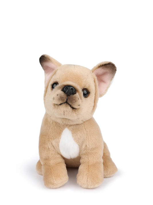 Philippe Bulldog
