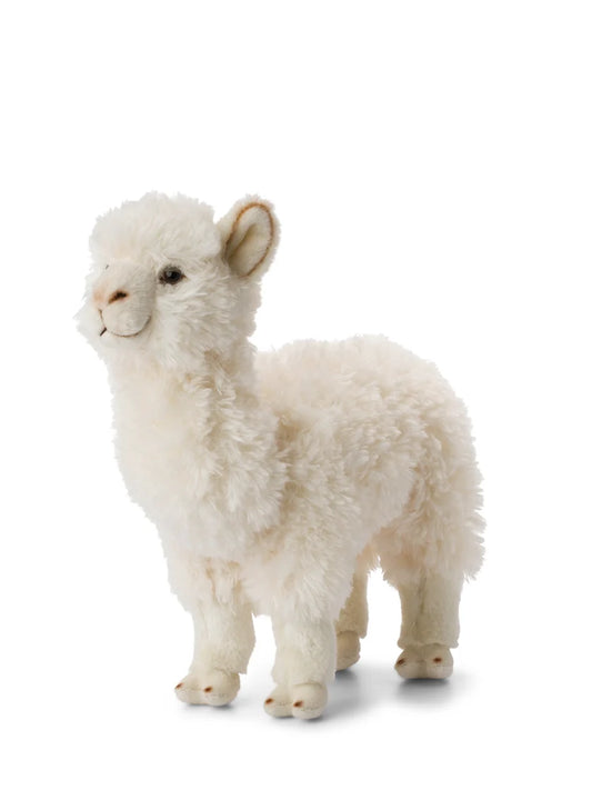 WWF ECO Alpaca