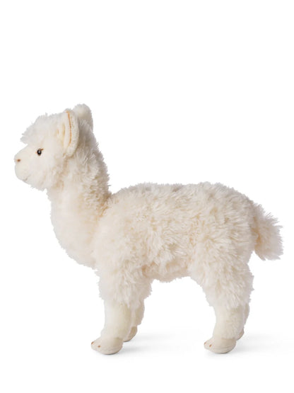 WWF ECO Alpaca