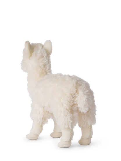 WWF ECO Alpaca