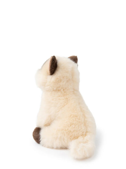 Eddie The Siamese
