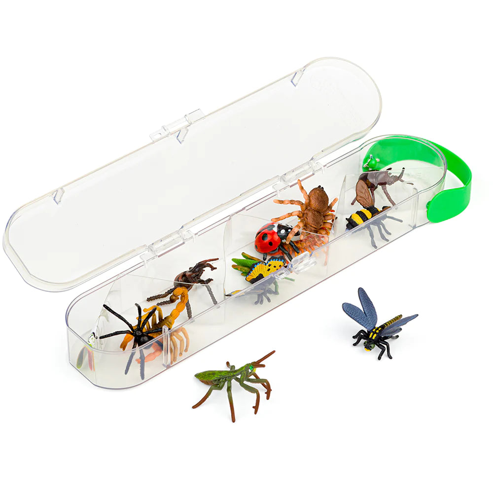 Box Of Mini Insects