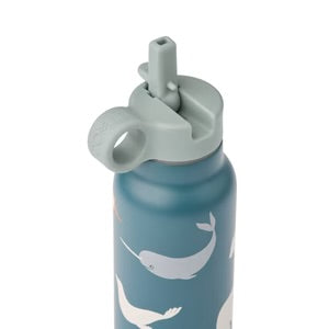 Falk 350ml Water Bottle - Arctic Sea