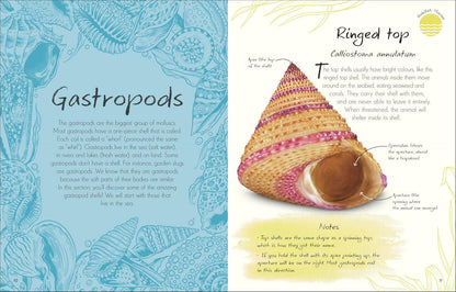 Anthology Of Shells