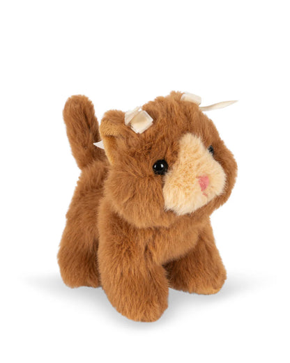 Baby Animal: Brown Cat