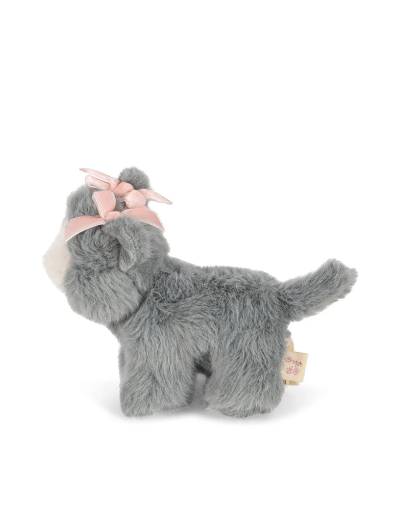 Baby Animal: Grey Cat