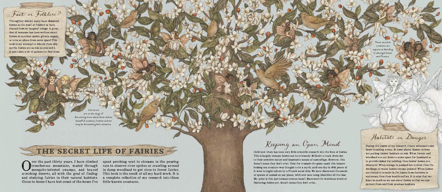 Natural History Of Fairies