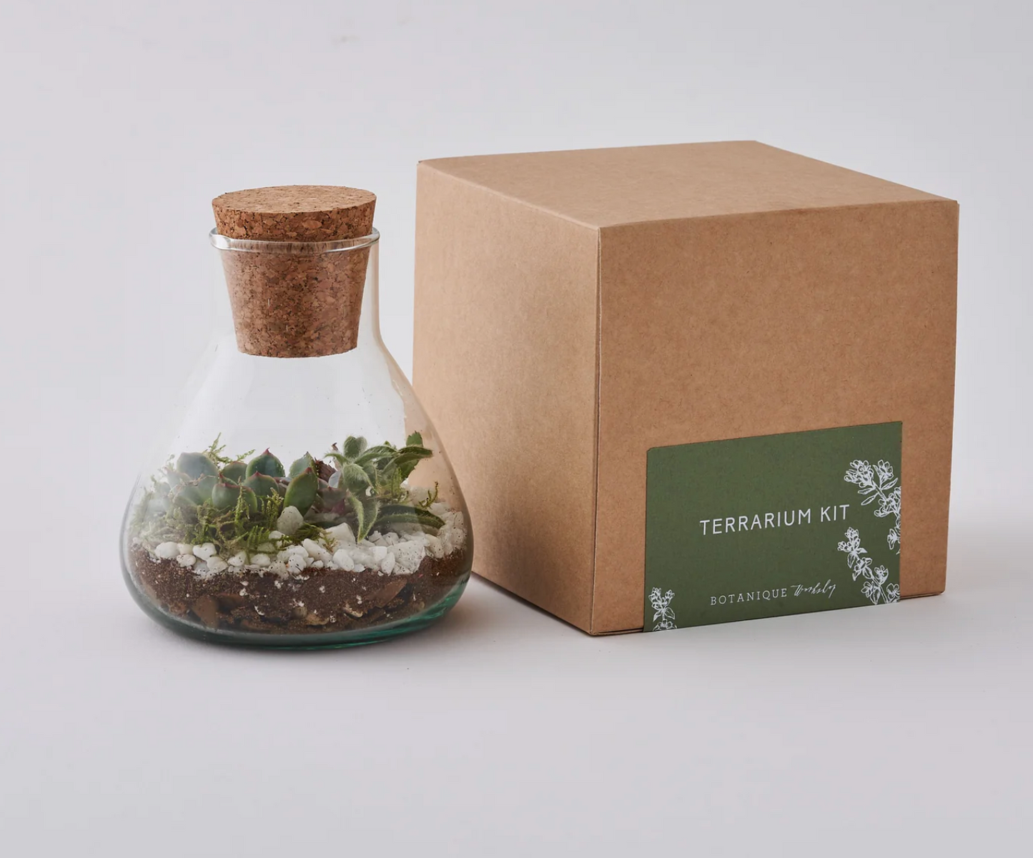 Botanique Workshop Terrarium Making Kit