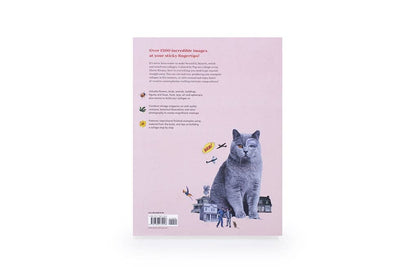 Extraordinary Things to Cut Out and Collage by Maria Rivans (Paperback): Paperback