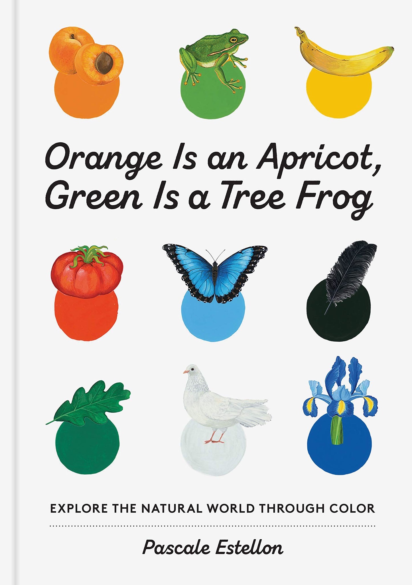 Orange Is An Apricot Green Is A Tree Frog