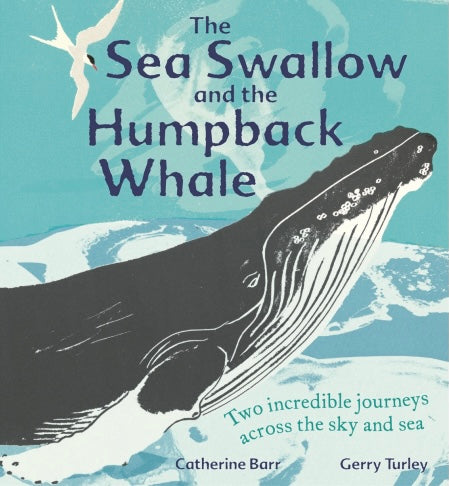 The Sea Swallow And The Humpback Whale