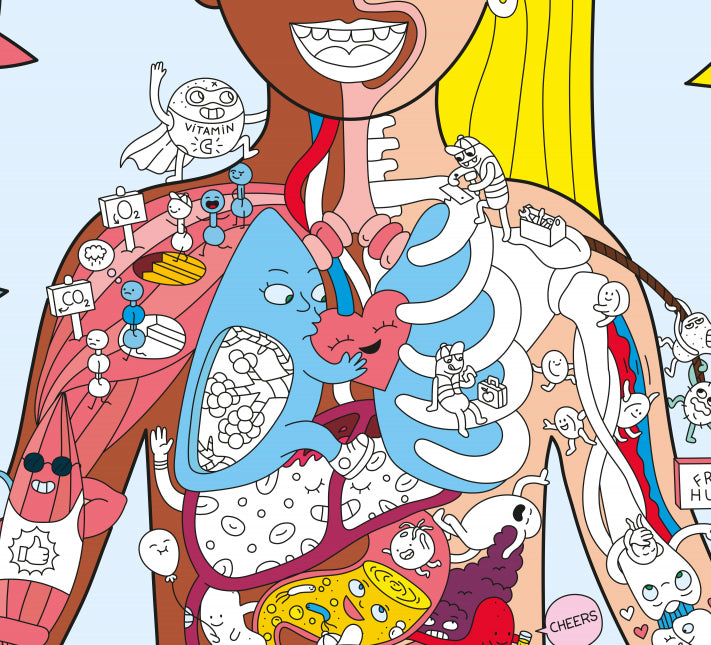 Omy My Body Giant Poster & Stickers
