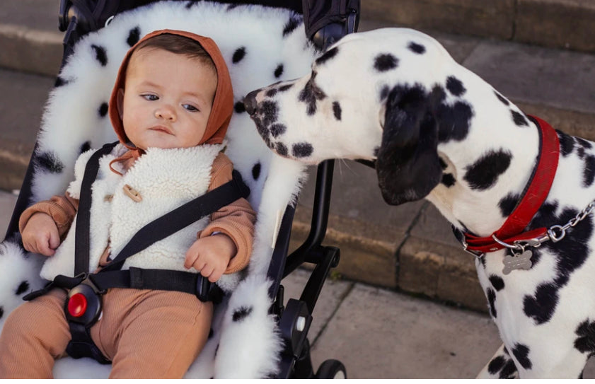 Binibamba Sheepskin Buggy Snuggler: Dalmatian Dot