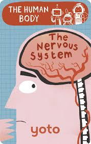 The Nervous System: Human Body Yoto Card