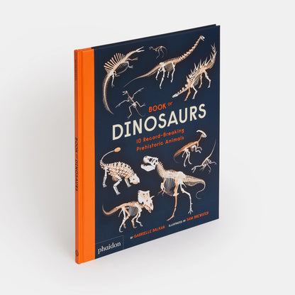 Book Of Dinosaurs