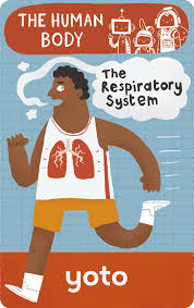 The Respiratory System: Human Body Yoto Card