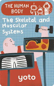 The Skeletal and Muscular Systems: Human Body Yoto Card