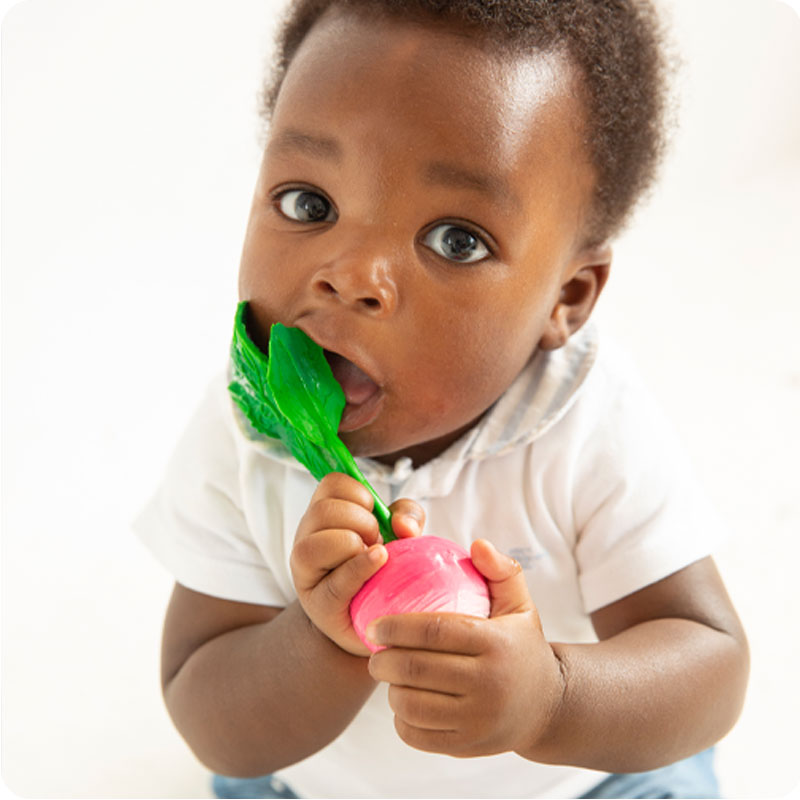 Ramona The Radish Teether