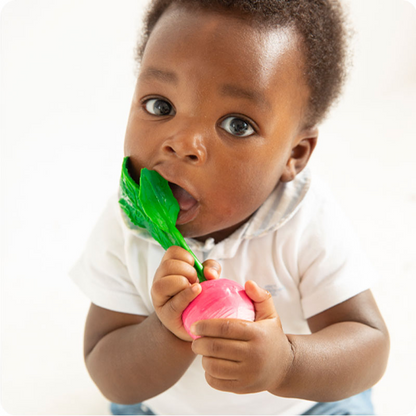 Ramona The Radish Teether